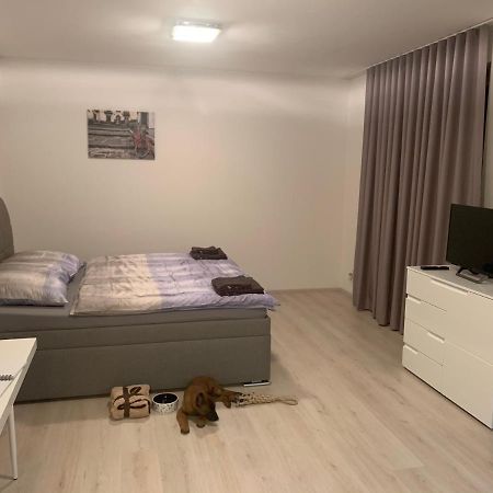 Modern Apartment In The City Center Pilsen Exterior photo